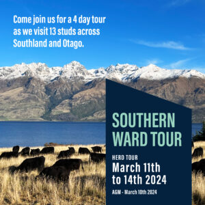 Southern Ward Tour